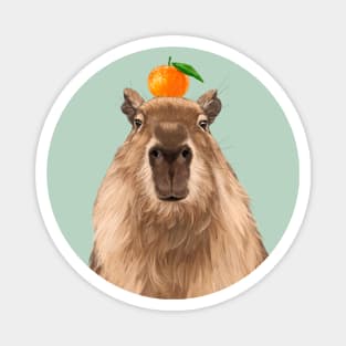 Capybara with Mandarin Orange on Head Magnet